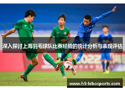 深入探讨上海羽毛球队比赛经验的统计分析与表现评估